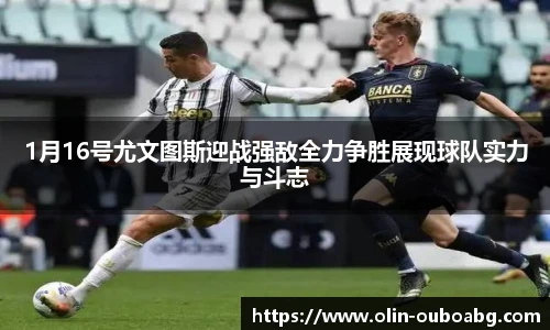 欧博